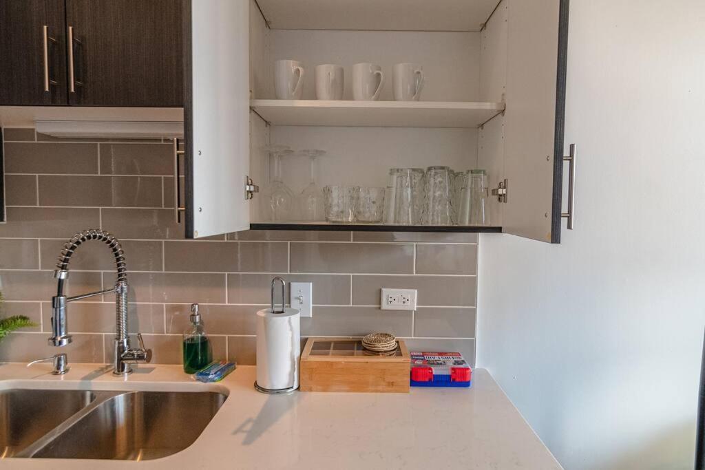 Skyline 2Br In South Loop With Optional Parking & Gym Access Near Museum Campus And Mccormick Place 芝加哥 外观 照片